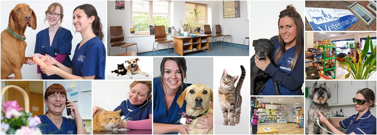 Some of the AAS Vets team, our patients and our facilities