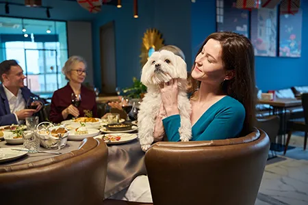 Taking Your Dog to the Pub: Simple Tips for a Happy Outing