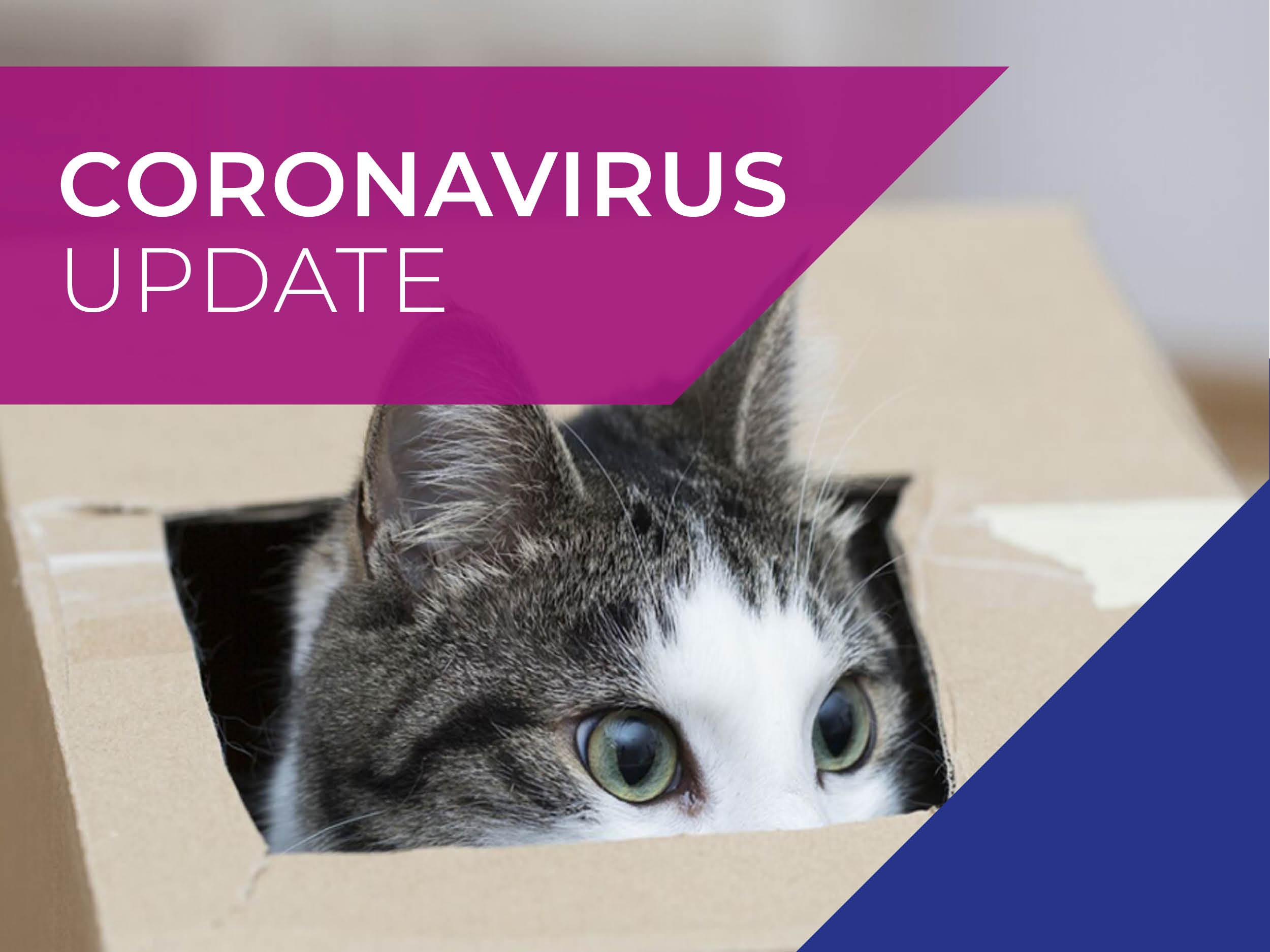 AAS Vets - COVID 19 Updates