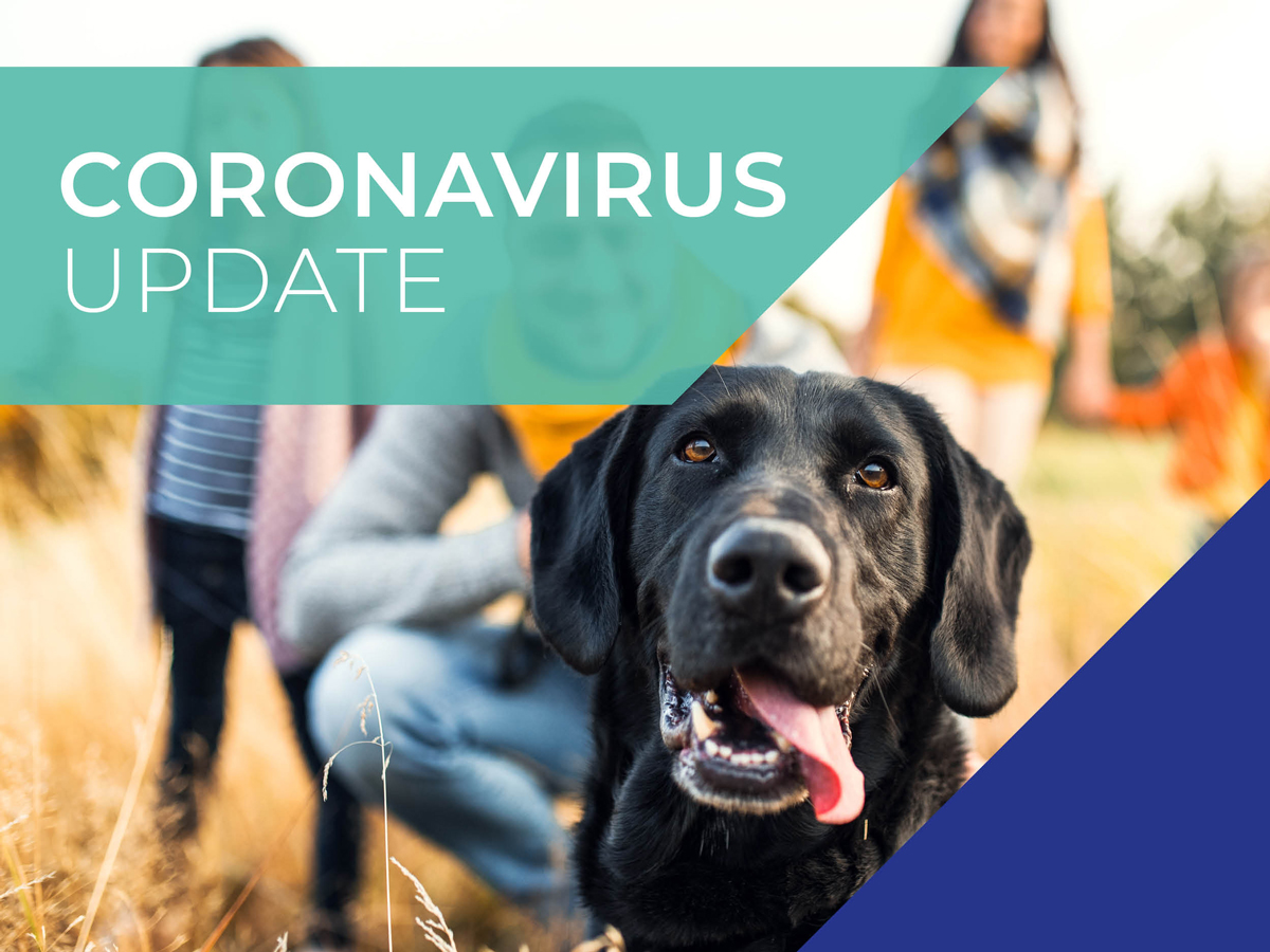 Coronavirus