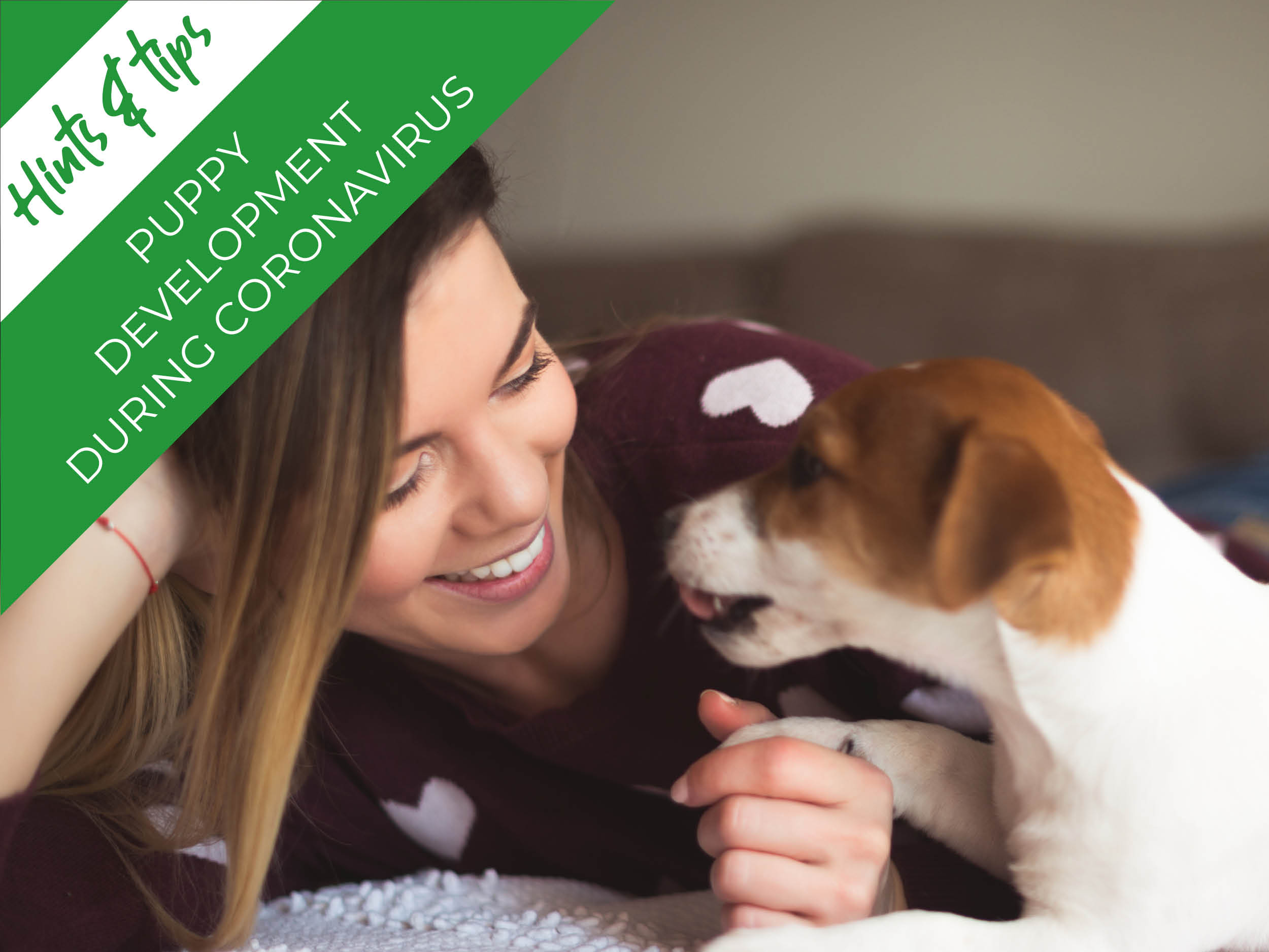 Hints and tips for puppies during Corona Virus