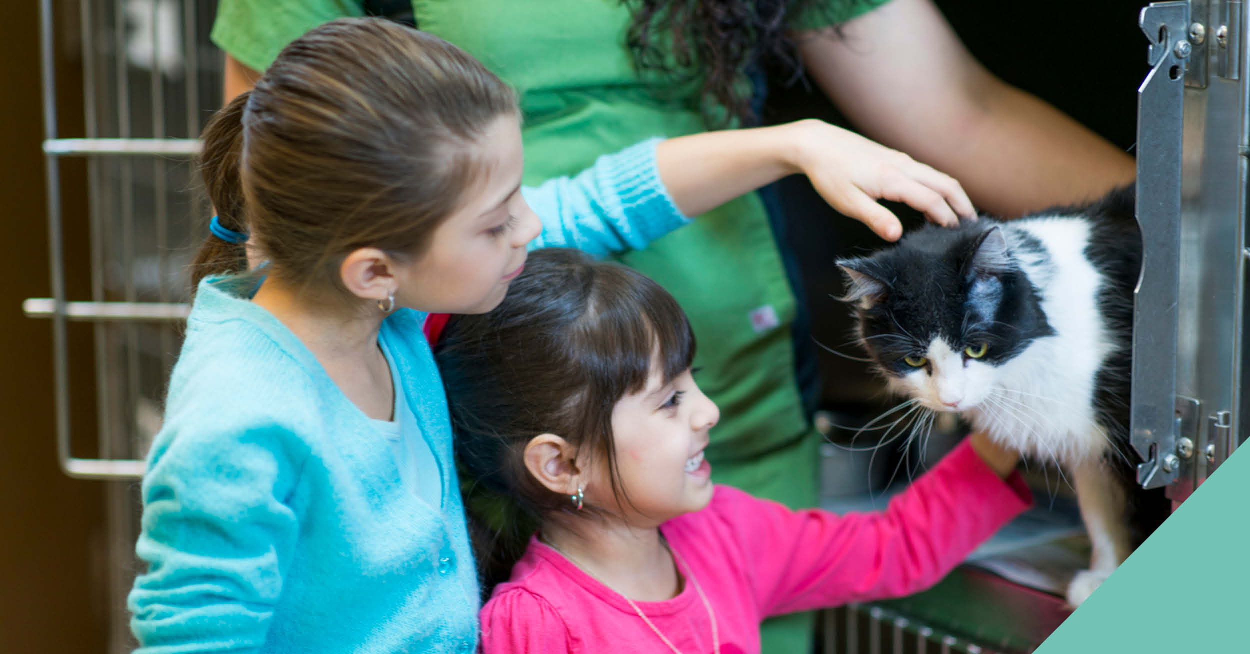 Adopt a pet