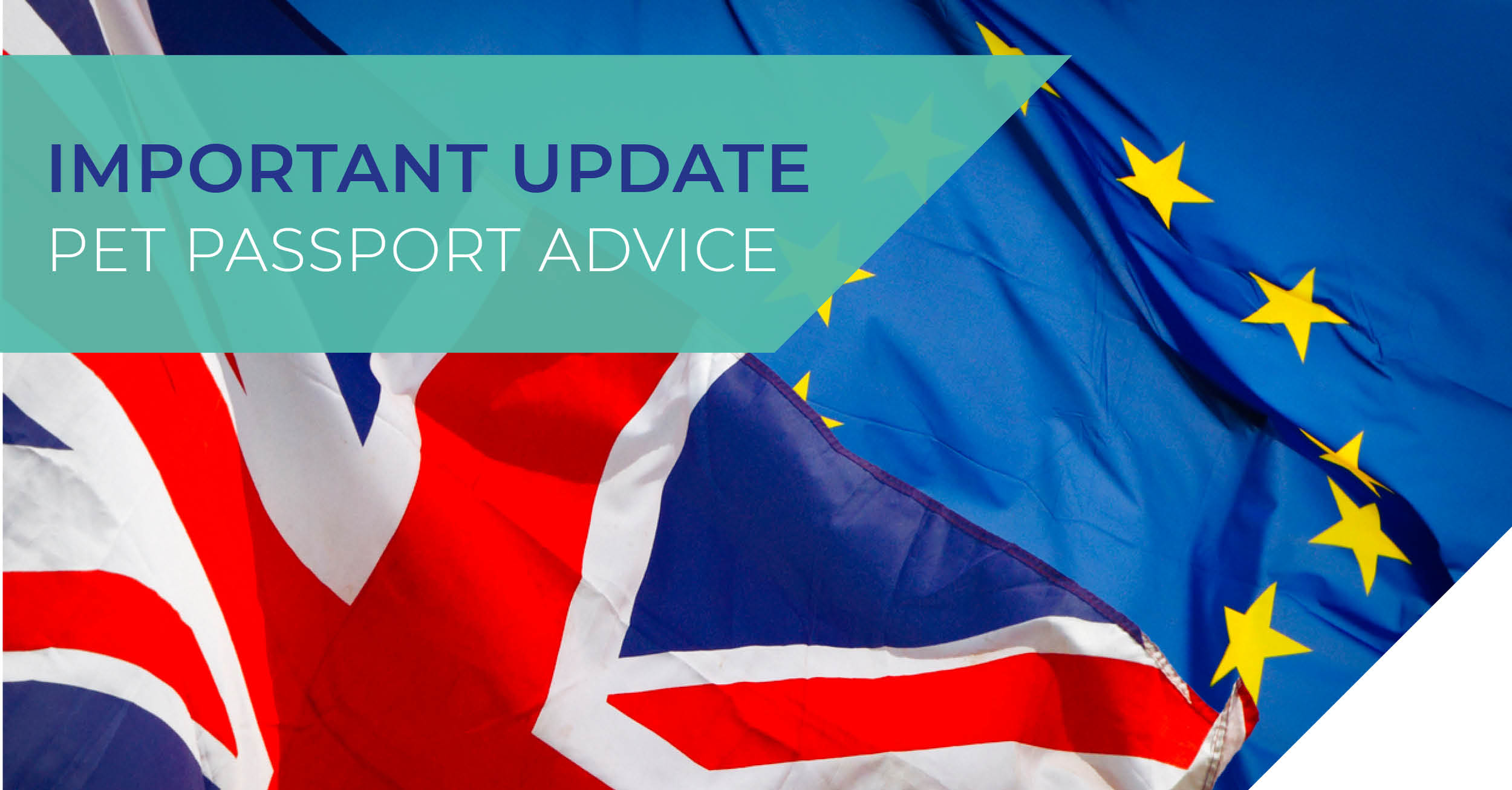 Advice on Pet travel to Europe from 1 January 2021