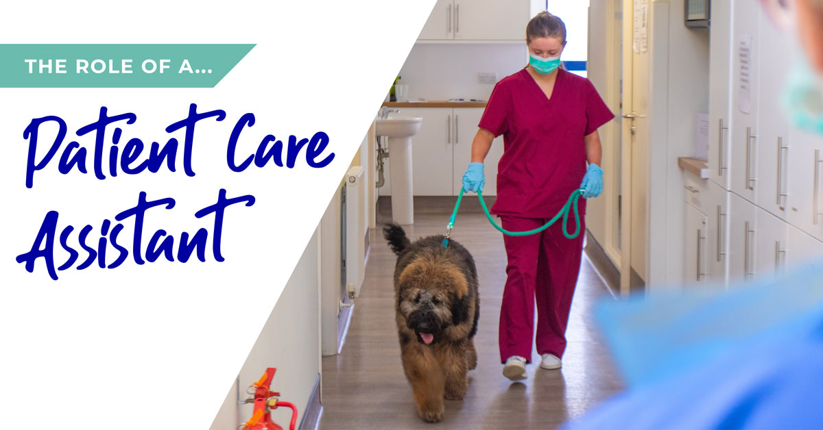 The role of a patient care assistant (PCA) in Gloucester