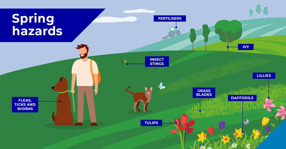 Potential spring hazards for your pets