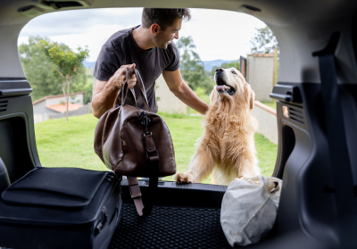 Preparing for a smooth journey with your pet