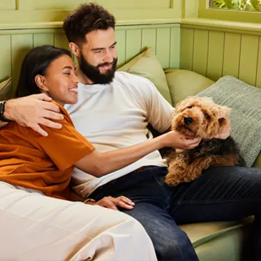 vaccinations dogs image 02