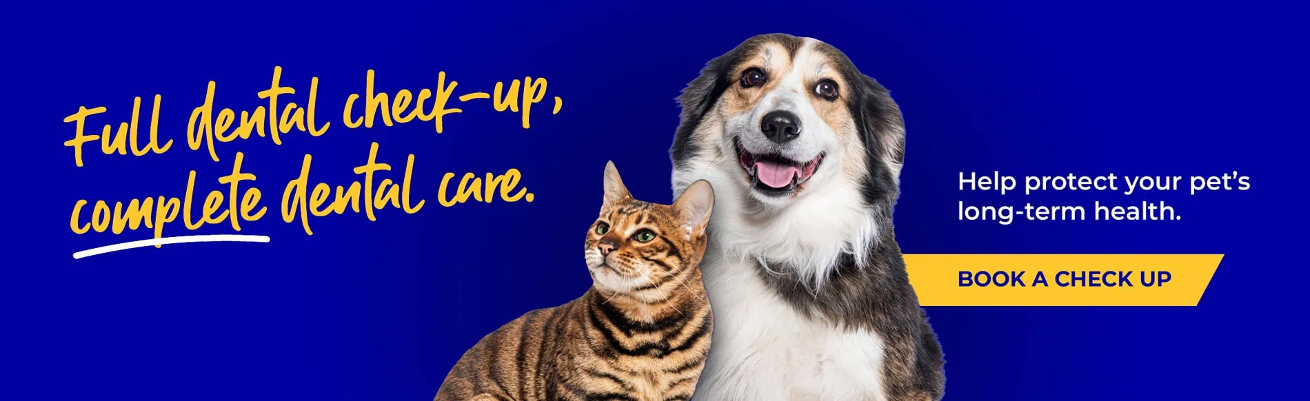 Vets in Gloucester | Vets in Abbeydale, Stroud and Quedgeley