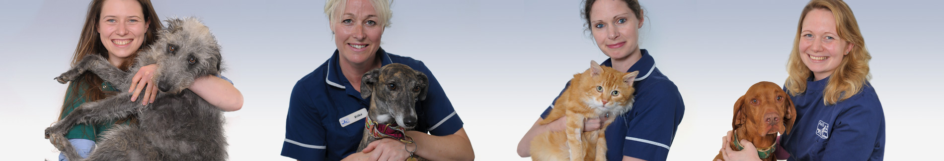 Register Your Pet with AAS Vets in Abbeydale, Quedgeley, Stroud