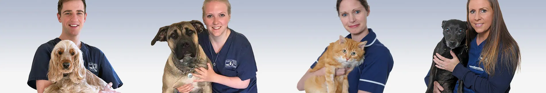 Pet Medication: Our Top Tips for Getting Your Pet to Take Their Medicine