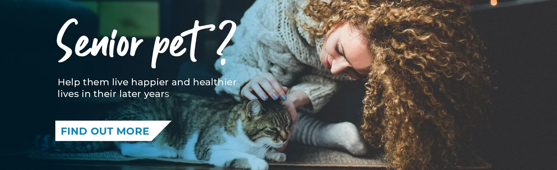 Vets in Gloucester Vets in Abbeydale, Stroud, Quedgeley, Hucclecote