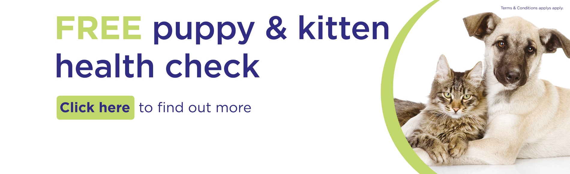 Vets in Gloucester Vets in Abbeydale, Stroud, Quedgeley, Hucclecote