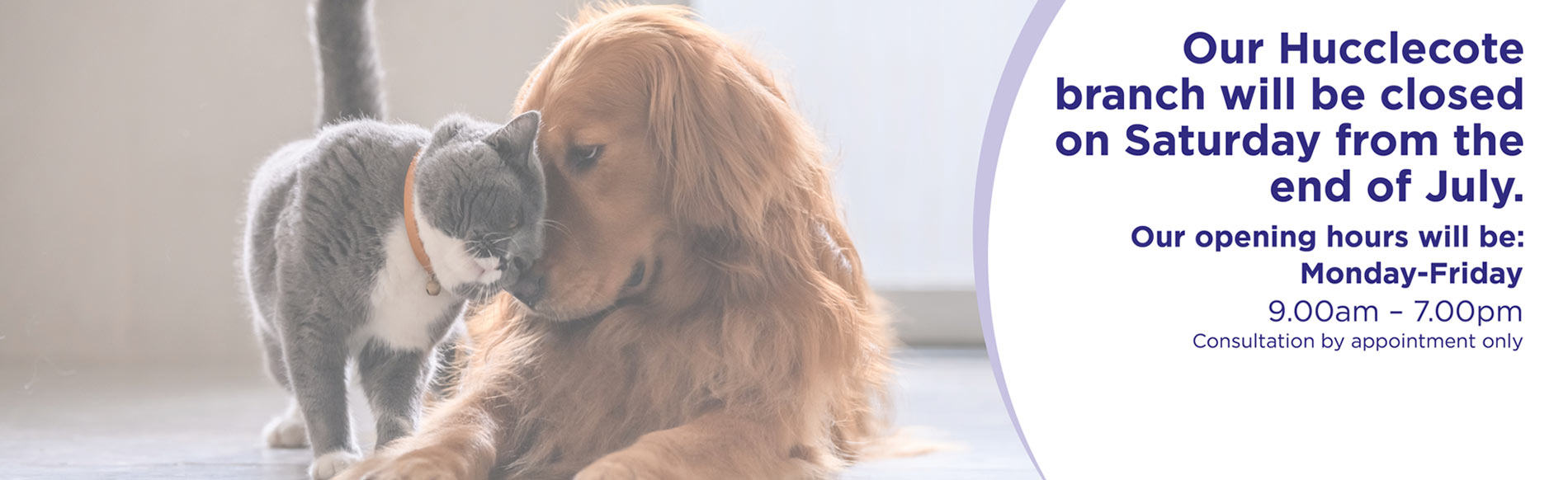 Vets in Gloucester Vets in Abbeydale, Stroud, Quedgeley, Hucclecote