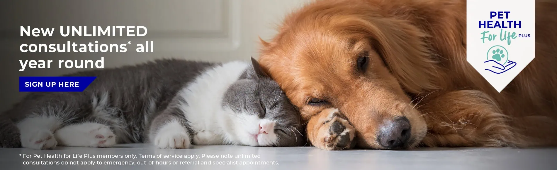 Vets in Gloucester | Vets in Abbeydale, Stroud and Quedgeley