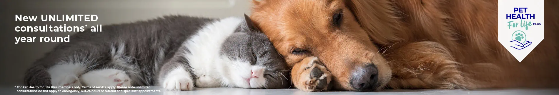 Sign up to the AAS Pet Health For Life plan today
