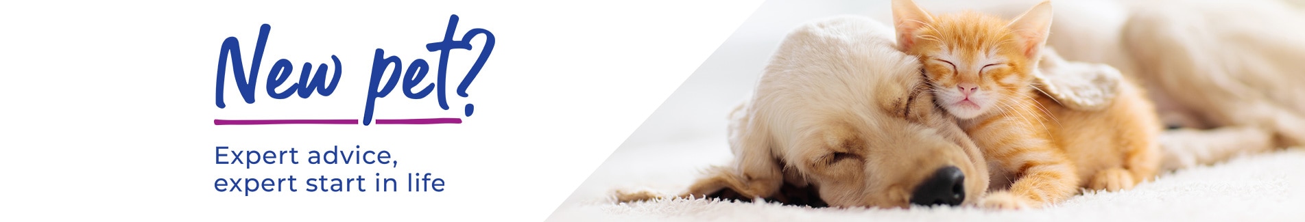 Puppy & Kitten Advice