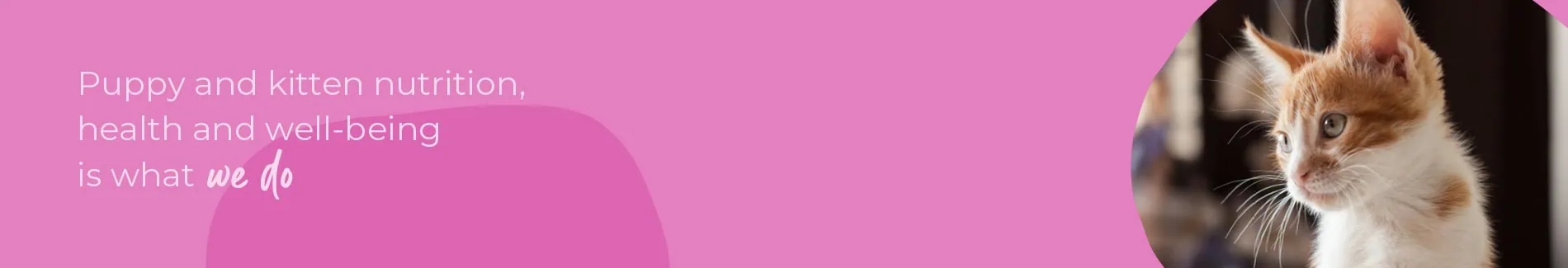 Start of Life for Your Puppy or Kitten