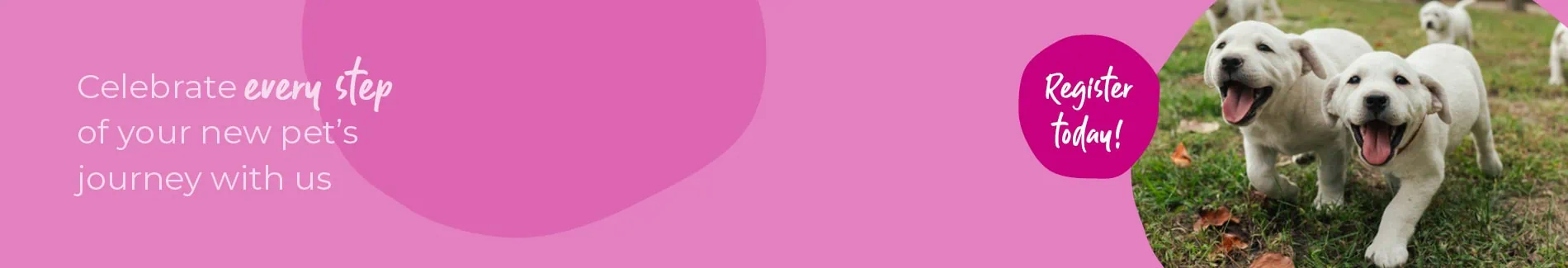 Start of Life for Your Puppy or Kitten