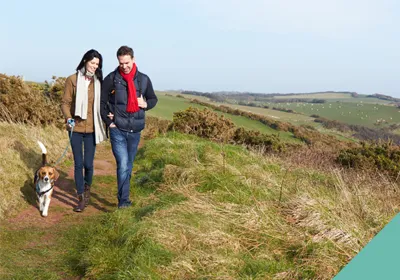 How to show your pet affection